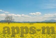 电劲足球比分-电劲足球比分,科技赋能下的足球数据新纪元