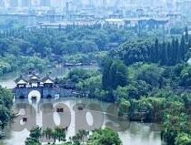 室内五人足球比分-室内五人足球比分背后的激情与策略,一场小场上的大博弈